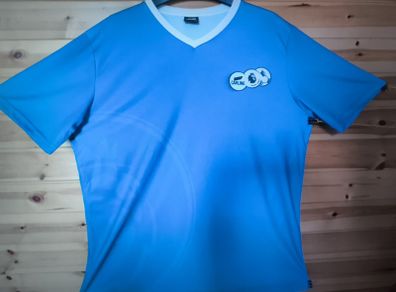 Premier League No 17 Carling Jersey Large