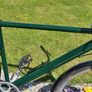 Gents Adult Bike Ready 2 Use Image 7