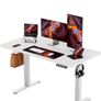 Electric Standing Desk 120x60cm Image 7