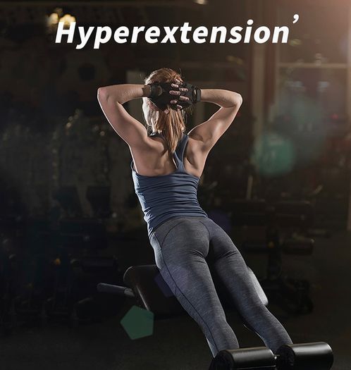 Roman Chair Back Extension Machine