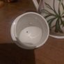 Portmerion Coffee Pot Image 3