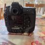 Nikon D5 Image 2