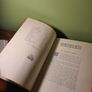 1875 Dresden Gallery Plates Folio, Ex. Auction. Image 7