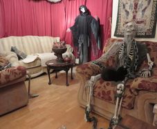 Complete Halloween Party & Decoration Bundle with Fog Machine, Killarney Collection