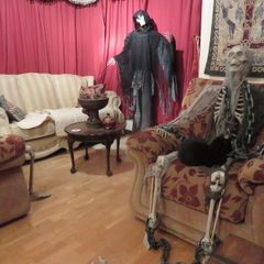 Complete Halloween Party & Decoration Bundle with Fog Machine, Killarney Collection