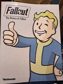 The History Of Fallout book