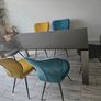 Dining Table + Chairs Image 2