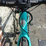 Bianchi aria Image 10