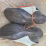 Climbing shoes, size 40E Image 2