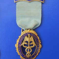 Royal Commercial Travellers Schools (Pinner) - STEWARD medal (excellent condition)