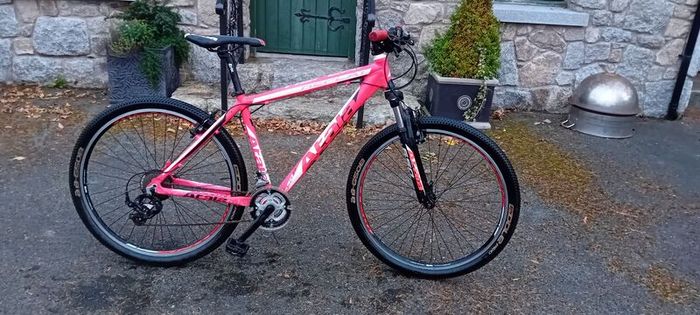 Bargin Mountain Bike