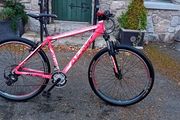 Bargin Mountain Bike