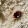 Vintage Long Teddy with Original Amber Glass Eyes 1950s Image 7