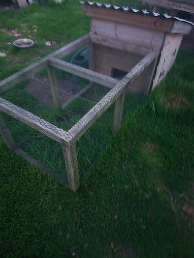 Chicken Coop, Rabbit Hutch
