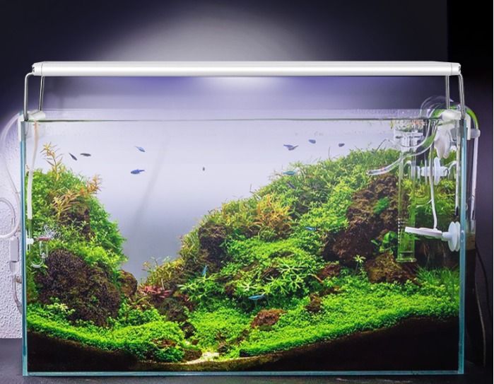 22-49cm Fish Tank Lamp With Extendable Brackets White And Blue LEDs Fits for Aquarium