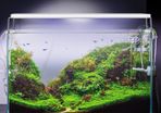22-49cm Fish Tank Lamp With Extendable Brackets White And Blue LEDs Fits for Aquarium