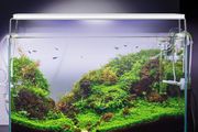 22-49cm Fish Tank Lamp With Extendable Brackets White And Blue LEDs Fits for Aquarium