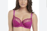 Fantasie Estelle - Underwired Side Support Bra 30F and Briefs S - Berry - BNWT RRP 80