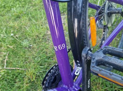 frog bike 69