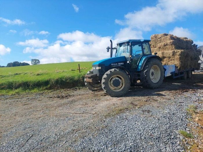 Hay