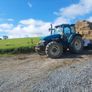 Hay Image 2