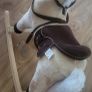 rocking horse Image 3
