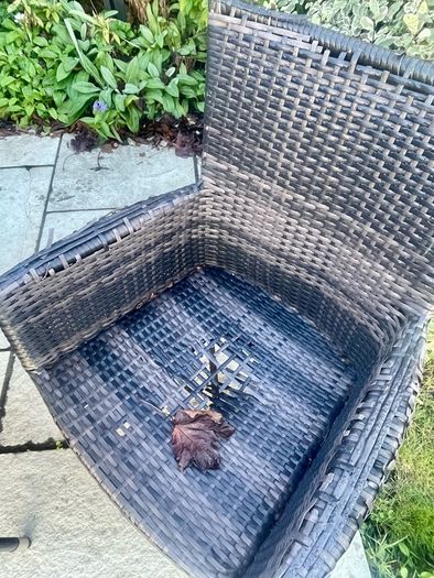 garden furniture