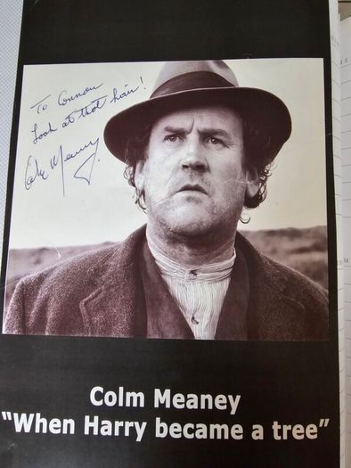 Nice full colm meaney autograph