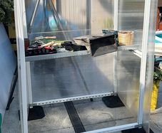 DIY green house