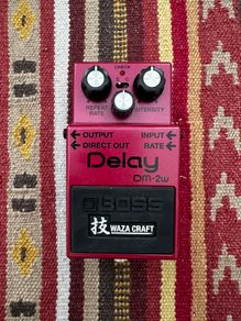 Boss DM-2W Delay Waza Craft 2015 - Present - Pink