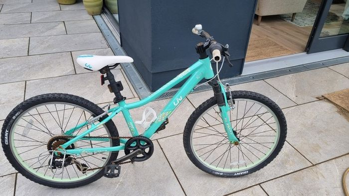 Teenage Girl Liv Enchant Bicycle