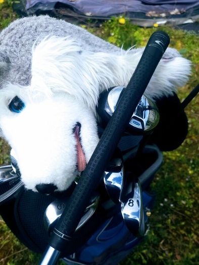 Set of Ladies Golf Clubs