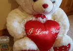 Huge Valentines  teddy