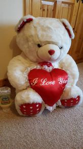 Huge Valentines  teddy