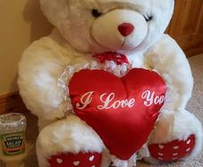Huge Valentines  teddy