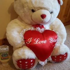 Huge Valentines  teddy