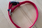 Ziggi Pet Collar
