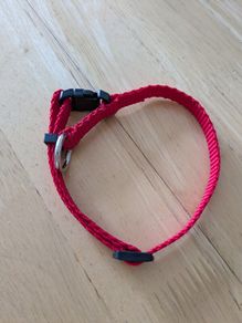 Ziggi Pet Collar
