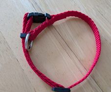 Ziggi Pet Collar