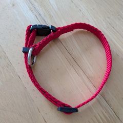 Ziggi Pet Collar