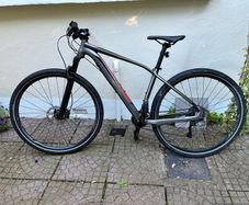 Specialized Rockhopper Pro 29