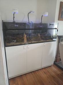 Red Sea Reefer 450 G1