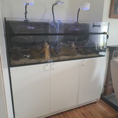 Red Sea Reefer 450 G1
