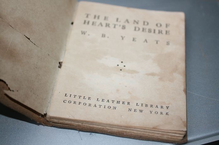 The Land of Heart's Desire