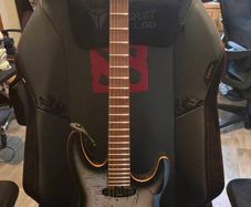 Harley Benton Guitar MAX Fusion Signature HO