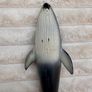 Schleich Spotted Blue Whale 14552 Rare Retired 2004 approx. 23 cm. Used Please see photos Image 9