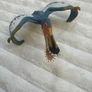 Schleich 14540 Anhanguera pterosaur dinosaur Used Please see photos Image 10