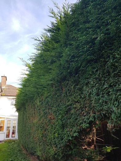 lawn care landscape and garden services