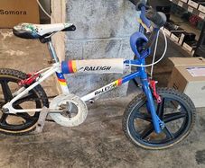 Raleigh Burner Mini