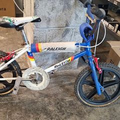 Raleigh Burner Mini